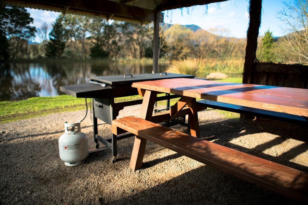 Sanctuary Park Cottages Healesville Dış mekan fotoğraf