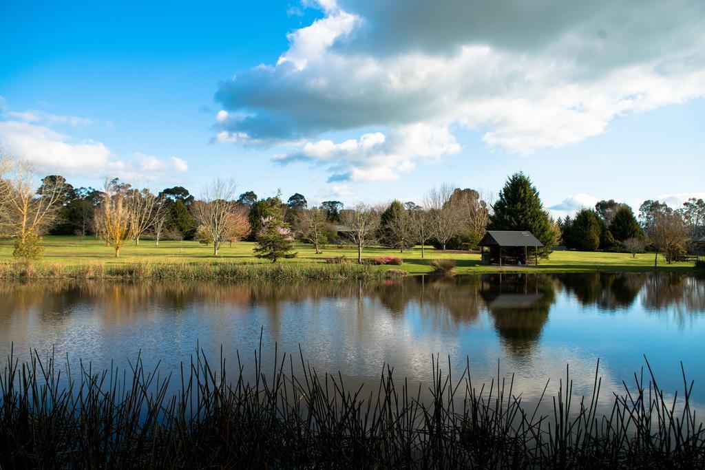 Sanctuary Park Cottages Healesville Dış mekan fotoğraf