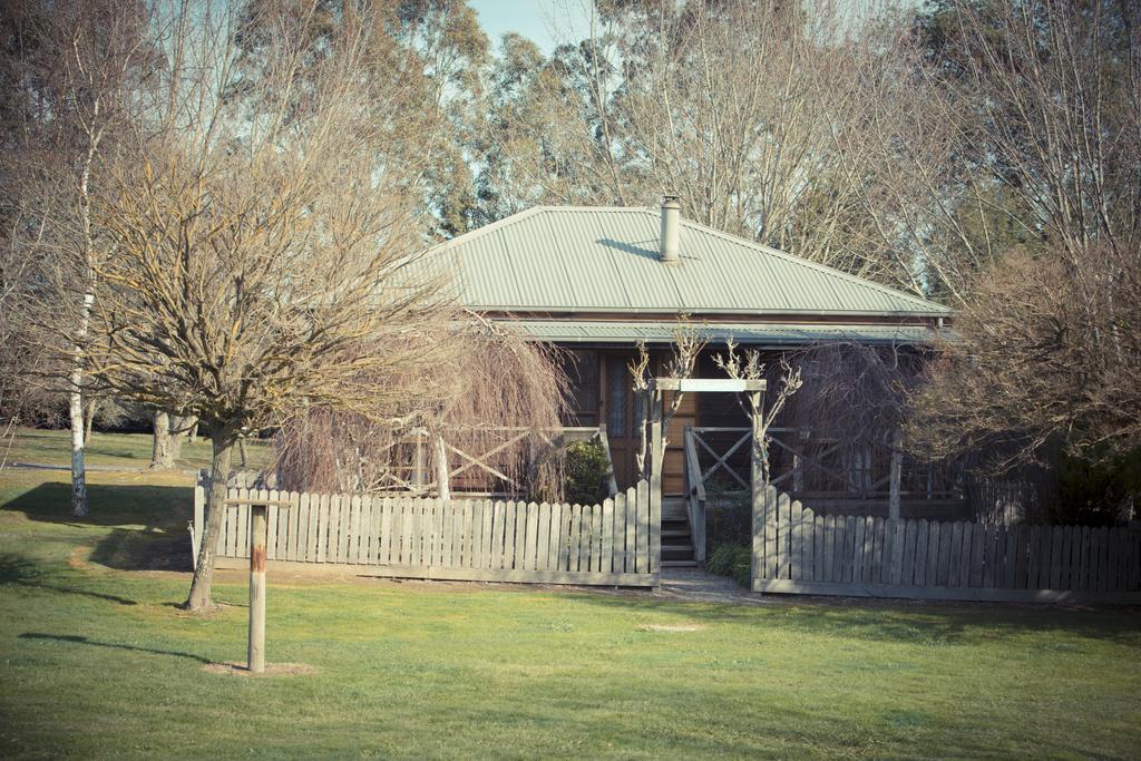 Sanctuary Park Cottages Healesville Dış mekan fotoğraf