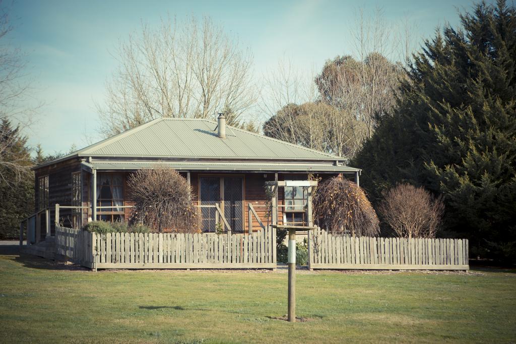 Sanctuary Park Cottages Healesville Oda fotoğraf