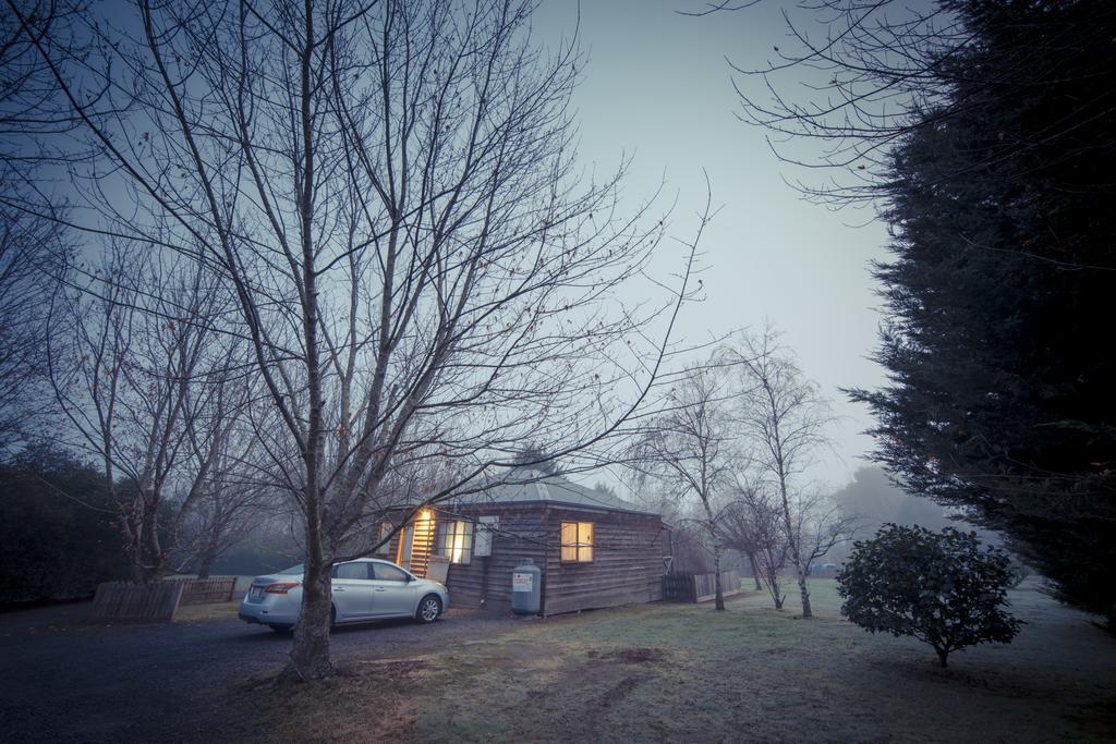 Sanctuary Park Cottages Healesville Dış mekan fotoğraf