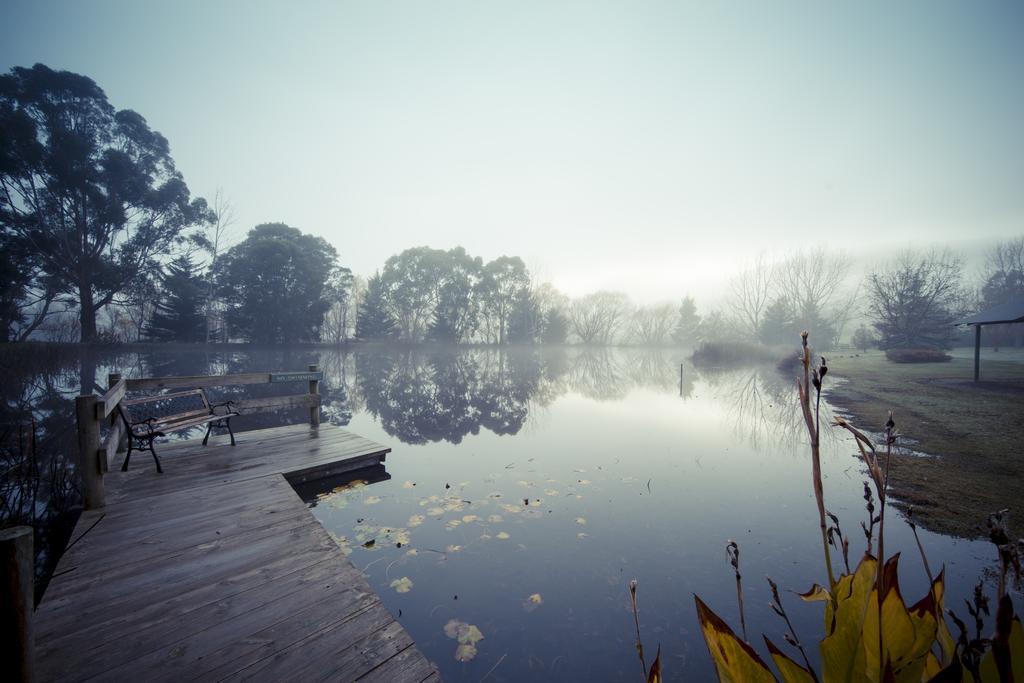 Sanctuary Park Cottages Healesville Dış mekan fotoğraf