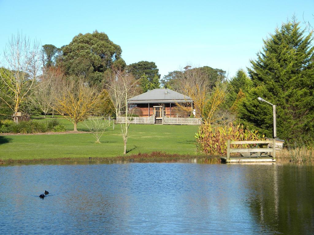 Sanctuary Park Cottages Healesville Oda fotoğraf