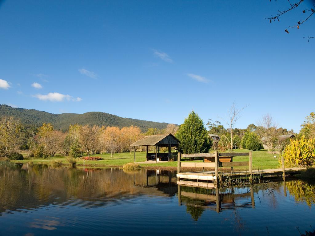 Sanctuary Park Cottages Healesville Dış mekan fotoğraf