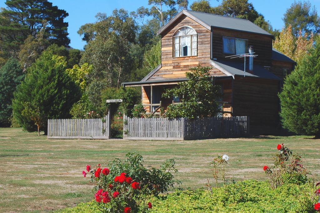 Sanctuary Park Cottages Healesville Oda fotoğraf