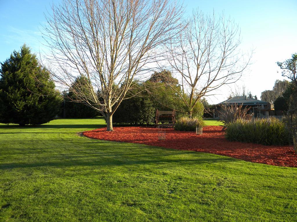 Sanctuary Park Cottages Healesville Dış mekan fotoğraf